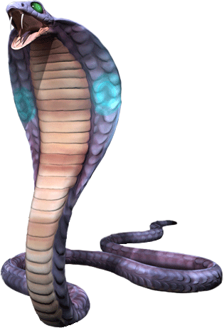 Picture of a Cobra